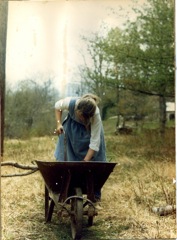 wheelbarrow